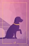18 - 犬