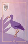 17 - コウノトリ