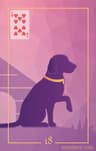 18 - 犬