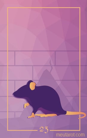 23 - Крыса