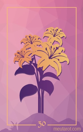 30 - Lilies