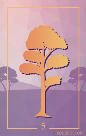 5 - شجرة