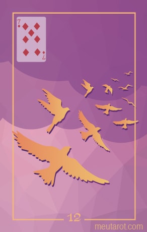12 - Vögel