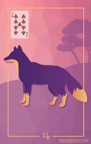 14 - Volpe
