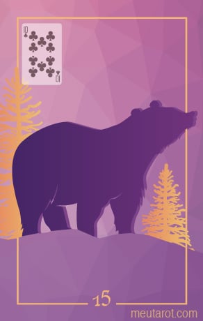 15 - Orso