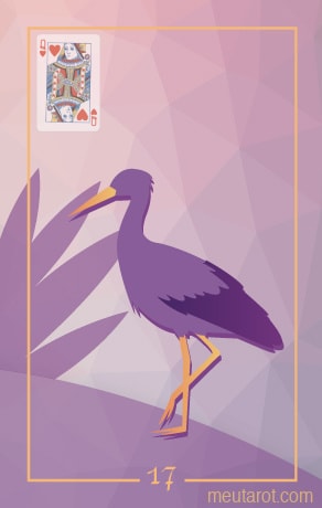 17 - Storch