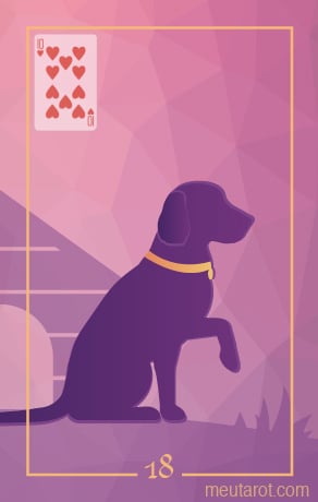 18 - Cane