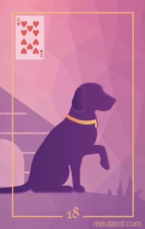 18 - Hund