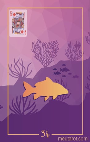 34 - Pesce