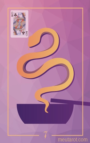 7 - الأفعى
