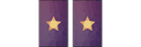 بطاقتان